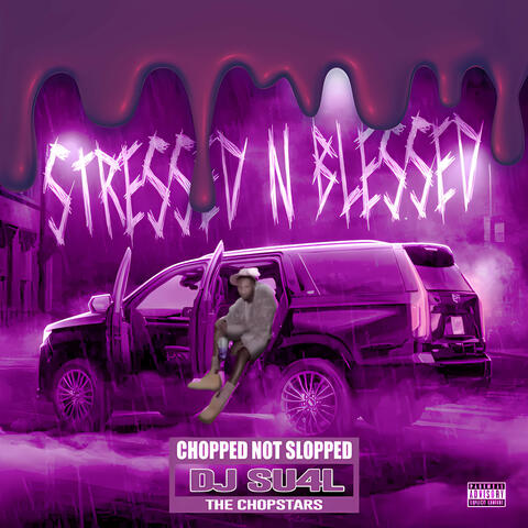 Stressed N Blessed