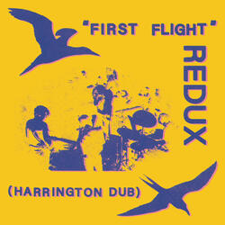 REDUX Dub #7