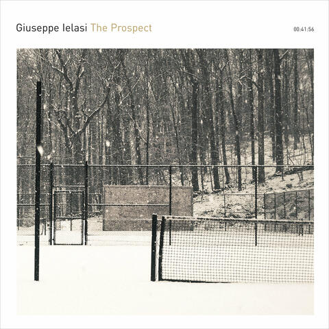 The Prospect
