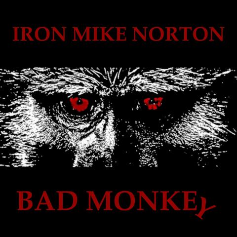 Bad Monkey