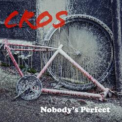 Nobody's Perfect