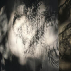 strom 5