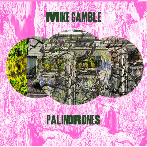 PalinDrones