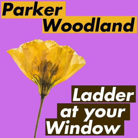 Ladder At Your Window