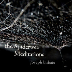 Spiderweb Meditation #1