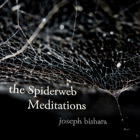 the Spiderweb Meditations