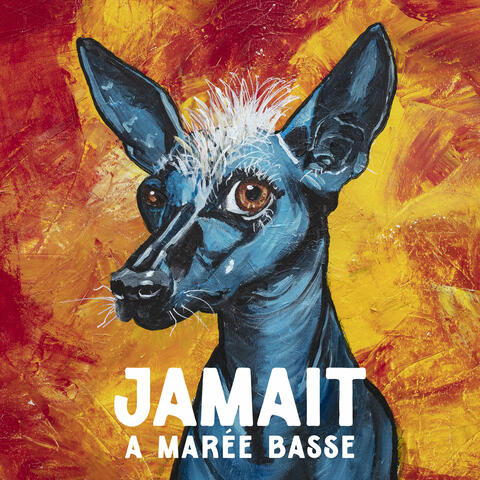A marée basse