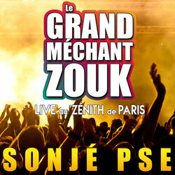 Zouk-la sé sel médikaman nou ni (Live)