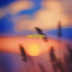 ceilings