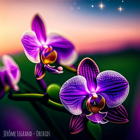 Orchids