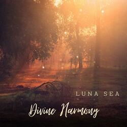 Divine Harmony