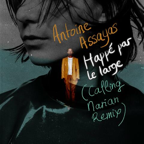 Happé par le Large