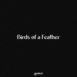 Birds of a Feather