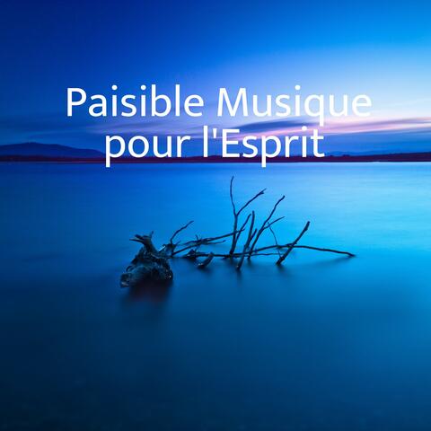 Paisible Musique pour l'Esprit