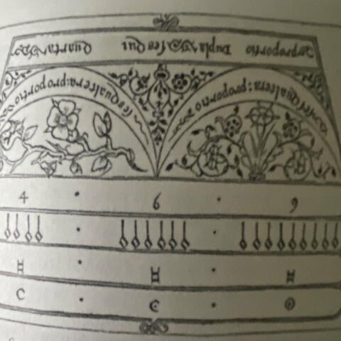 De La Vihuela Da Mano à la guitare