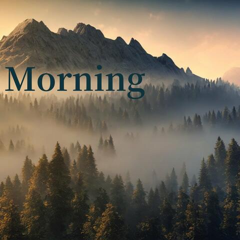Morning