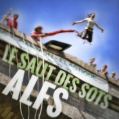 Le saut des sots