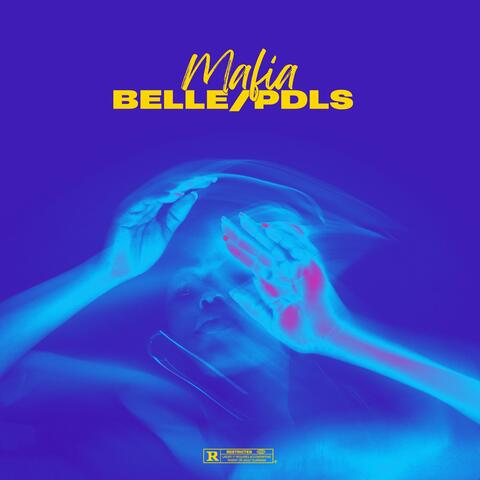 Belle/PDLS