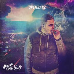 Openbarz