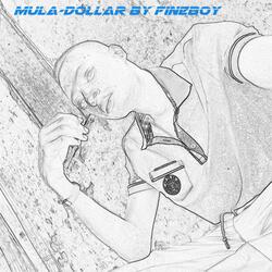 Mula-dollar