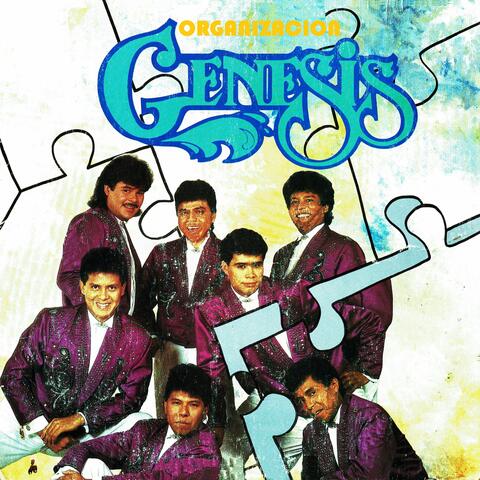 Organización génesis