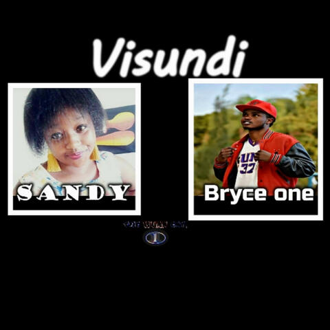 Visundi