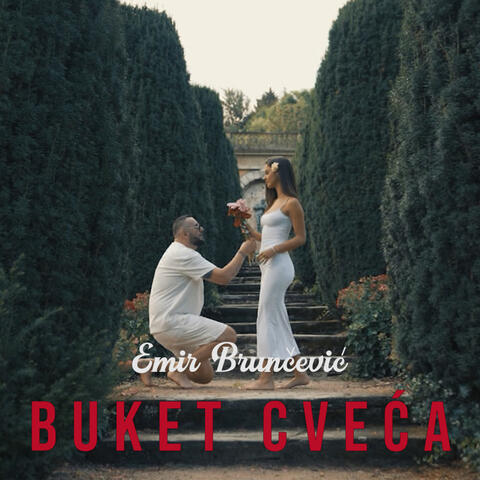 Buket Cveca