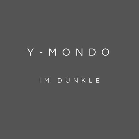 Im Dunkle