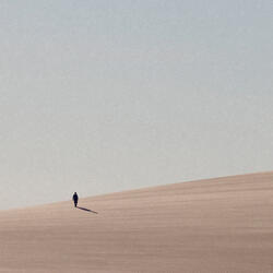 Shadow of the Colossus