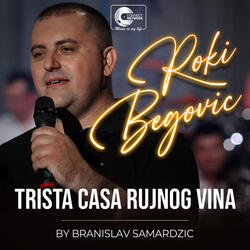 Trista casa rujnog vina