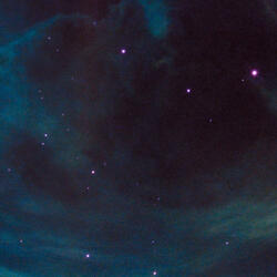 Are you in the forest?