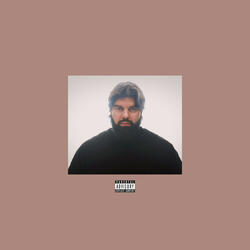 Brauner Beatle Bars