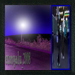 Econ_Yalu2008