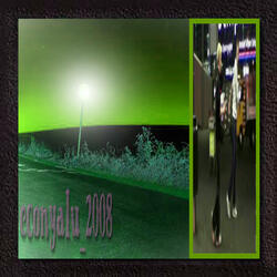 Econ_Yalu2008