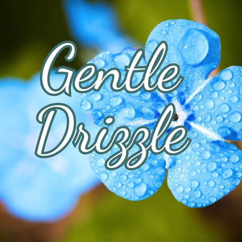 Gentle Drizzle - Calming Rain Sounds for Mindfulness