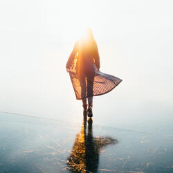 Fly Away