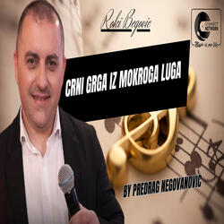 Crni grga iz mokroga luga