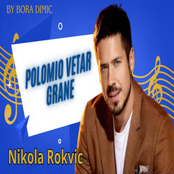 Polomio vetar grane