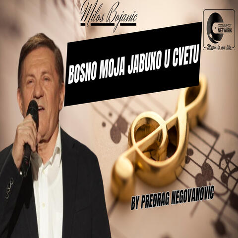 Bosno moja jabuko u cvetu