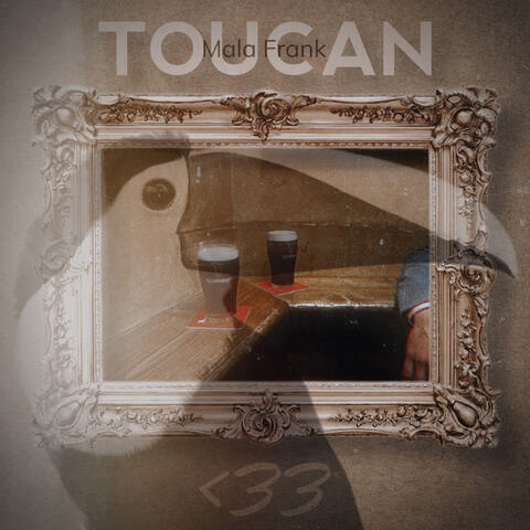 Toucan