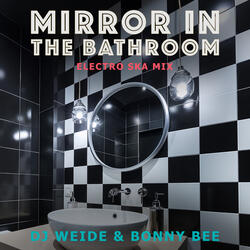 Mirror in the Bathroom