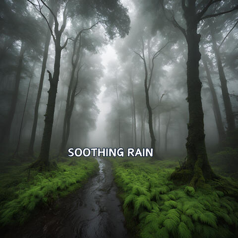 Soothing Rain in the Mossy Forest for Meditation, Relaxation, and Peaceful Sleep