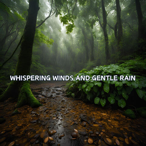 Whispering Winds and Gentle Rain in the Forest for Restful Sleep and Relaxing ASMR