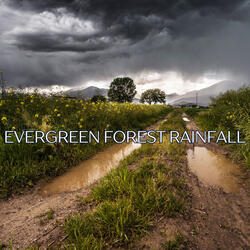 Calming Rain Shower ASMR Experience: Immersive Relaxation Soundscape