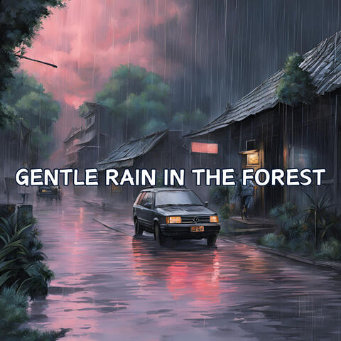 Gentle Rain in the Forest for Calm Meditation and Relaxation