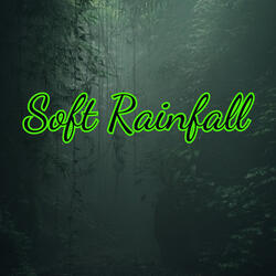 Gentle Rainfall Ambiance for Restful Sleep and Relaxation