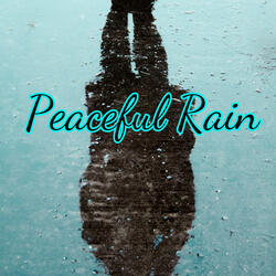 Countryside Rain: a Peaceful and Serene Soundscape of Rain in the Country