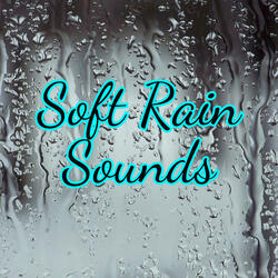 Soft Whispering Rain: a Gentle, Almost Inaudible Sound of Raindrops