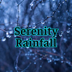 Whispering Rainfall to Calm the Mind and Spirit