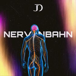 Nervenbahn